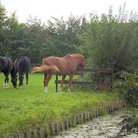 Dirosa 4* Onderdijk