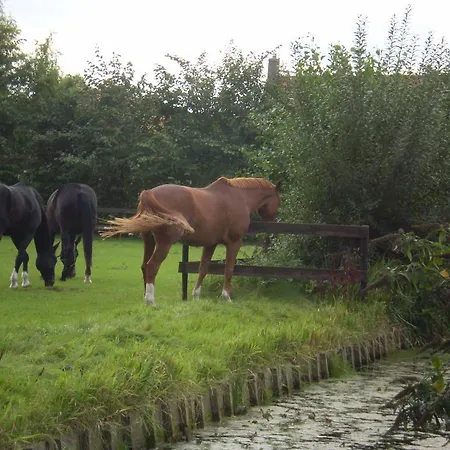 Oda ve Kahvaltı Dirosa 4*