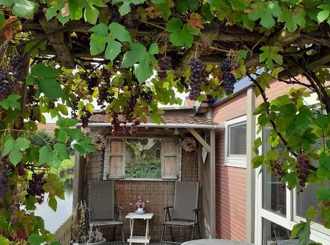 Dirosa לינה וארוחת בוקר Onderdijk