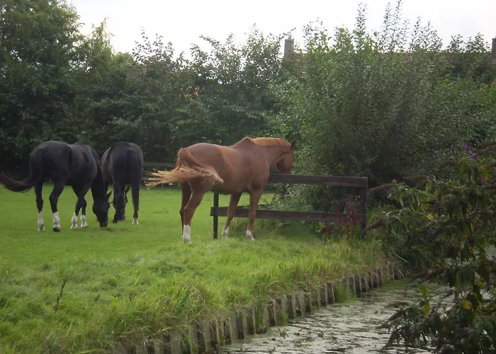 לינה וארוחת בוקר Dirosa 4*